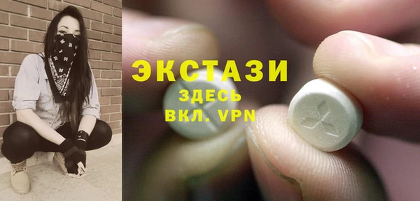гашик Новозыбков