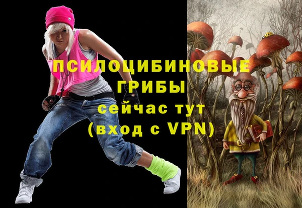 круглые Алзамай