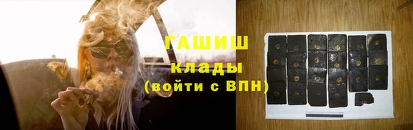 гидра Алексин