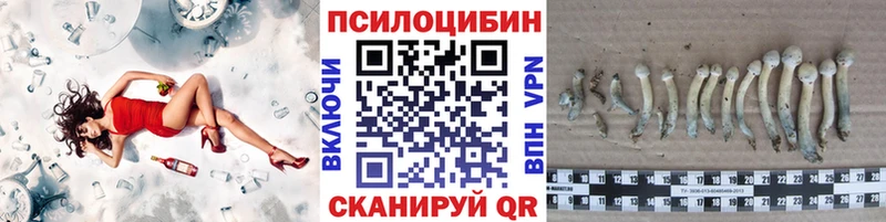 Псилоцибиновые грибы Cubensis  купить наркотик  Мураши 